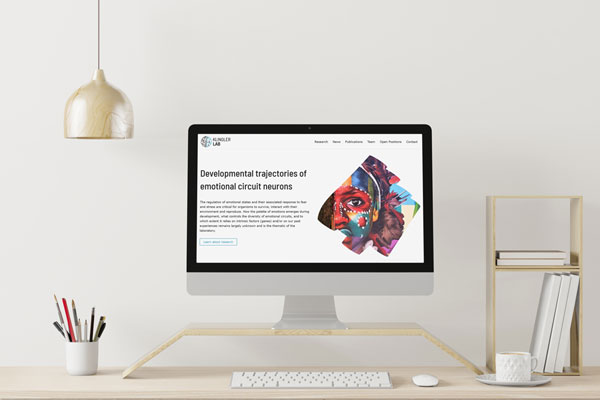 un écran d’ordinateur qui présente un site écoconçu sobre sur un bureau bien rangé