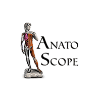 Anatoscope