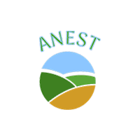 ANEST